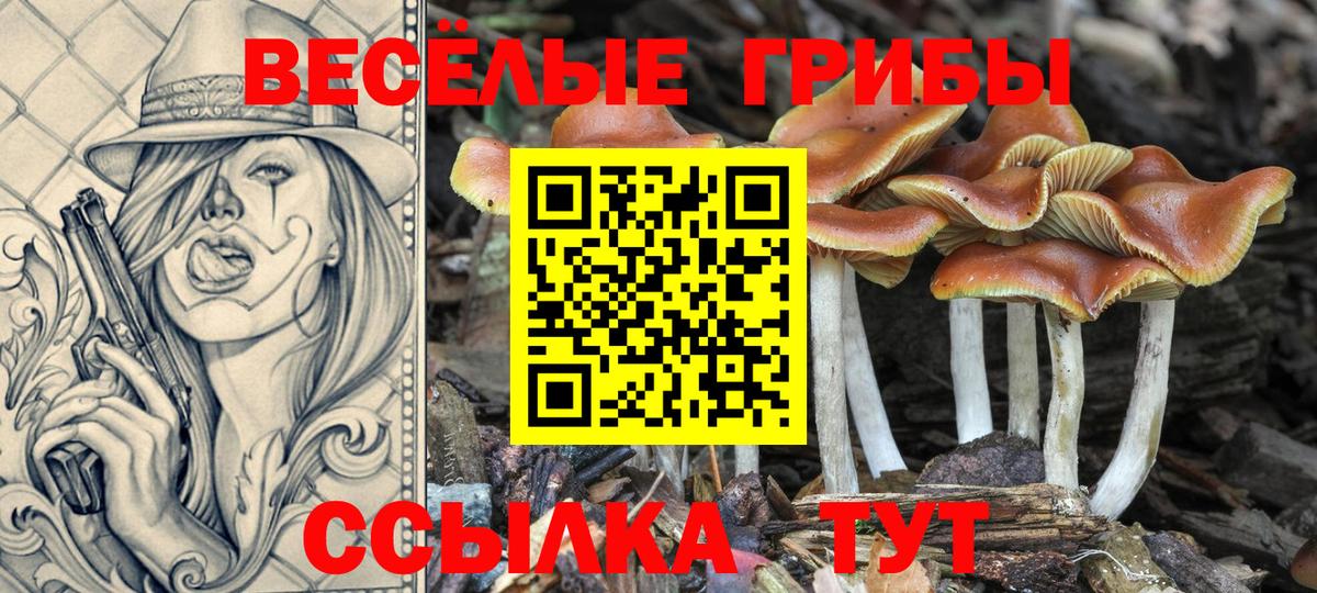 Псилоцибиновые грибы GOLDEN TEACHER Артём