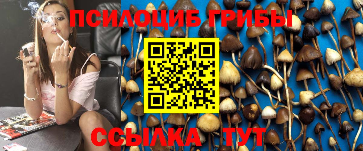 Артём  Псилоцибиновые грибы MAGIC MUSHROOMS  Галлюциногенные грибы мицелий  Вход с VPN 